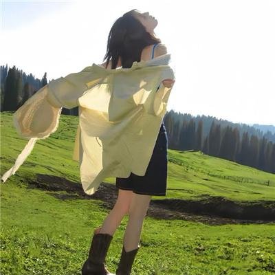 特禽鲨龙